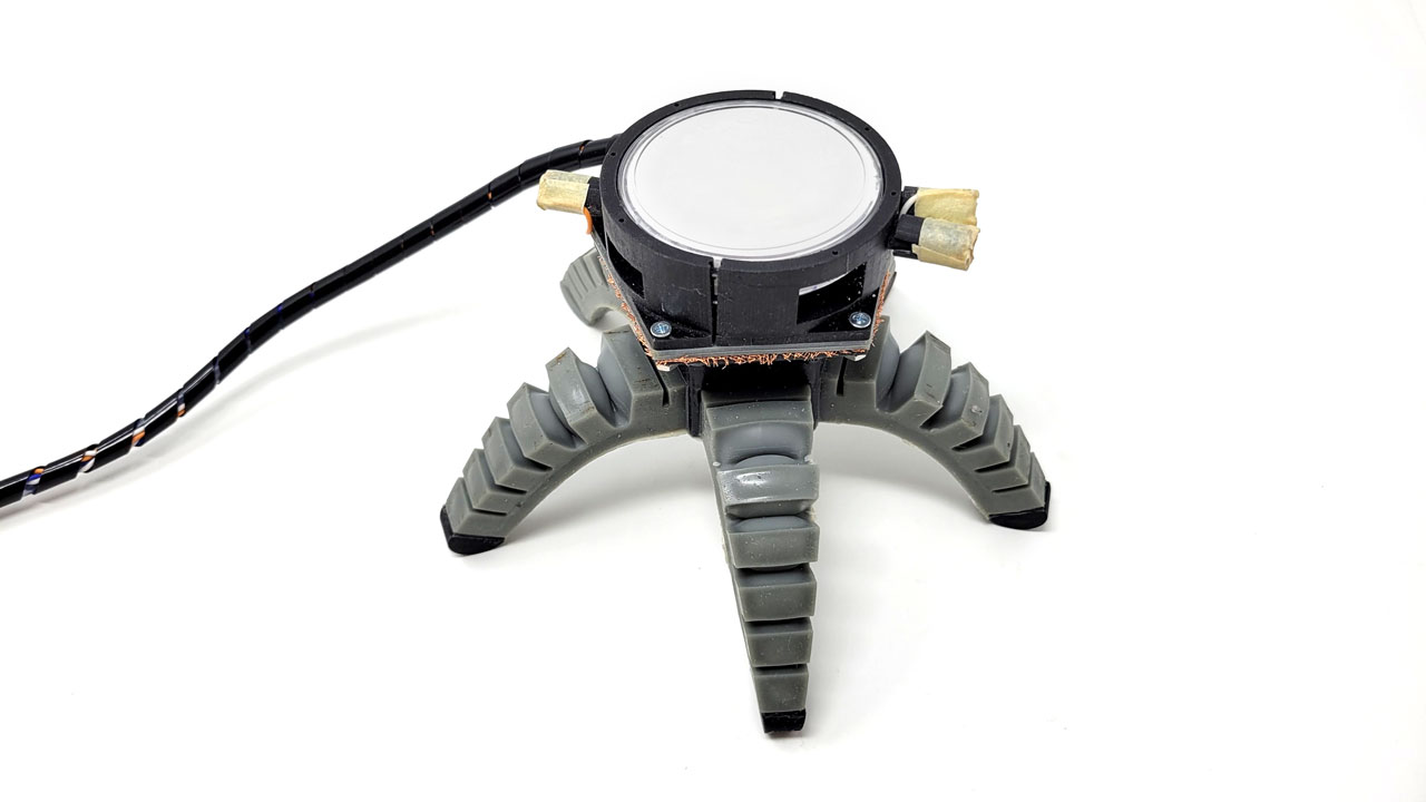 The lab’s soft walking robot with a fungal mycelium chamber and electrical interface mounted on its body