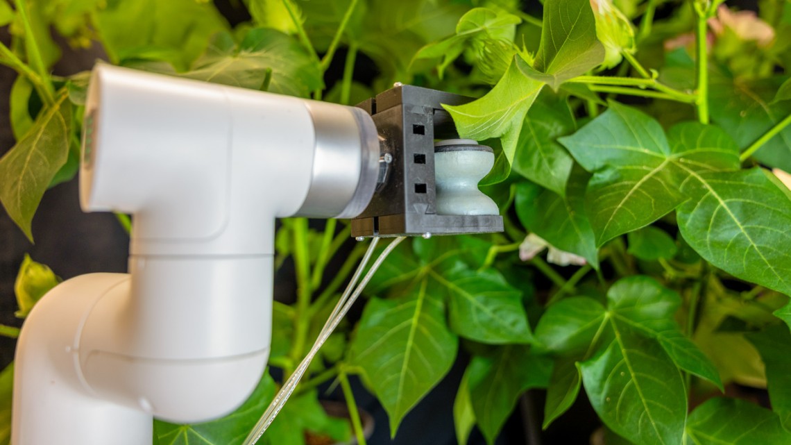 A soft leaf gripper used for plant sensing research