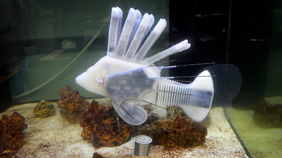 A lionfish-inspired soft aquatic robot developed in the lab